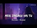 Meri Zindagi Hai Tu Lofi Slowed Reverb Jubin Nautiyal Neeti Mohan Aesthetic Me