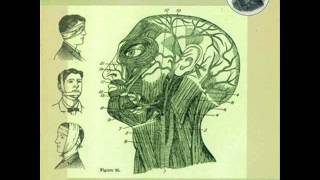 firewater   SHE S THE MISTAKE