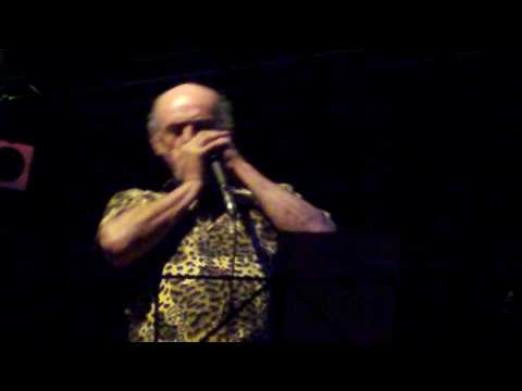 Michel Herblin - Jacava (Festival Harmonica sur Cher 2009 #2)