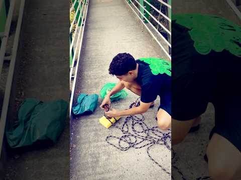 ALIMENTEI OS JACARÉS DO ESGOTO