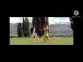 Pudichirukku Vikram Trisha Super Dance Status Saamy