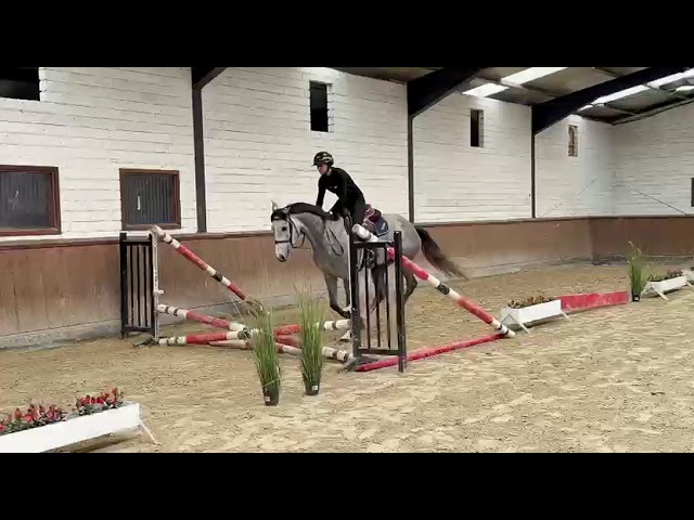 Under the saddle