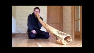 'Aer Haima' Didgeridoo by Paul Osborn. Made in UK from Spalted Beech