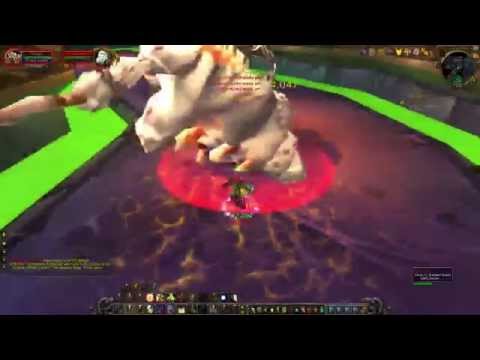 Naxxramas 10 Man  - Solo Protection Paladin - Patchwerk