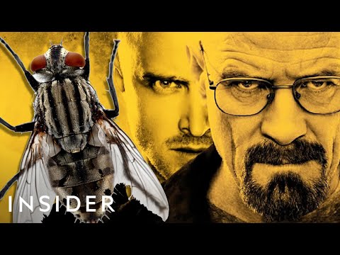 Why The Best 'Breaking Bad' Episode Is The Most Hated | The Art Of Film