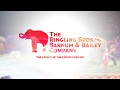 The Ringling Bros And Barnum Bailey Company October 2019 ID