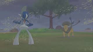【ポケモン剣盾】証付きポケモン探す枠