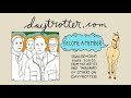 The Sea and Cake - Weekend - Daytrotter Session