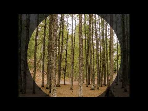 Florian Kruse ft. Brolin - Navigator (Different Ray Remix)