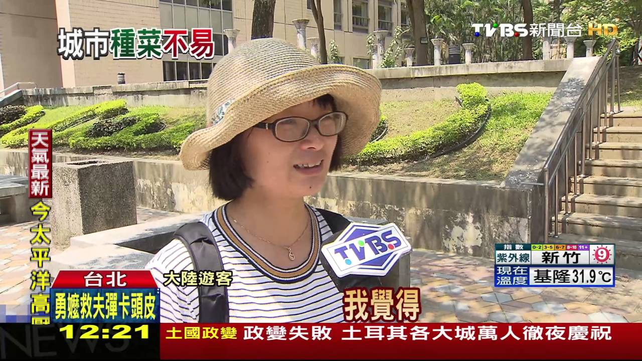 爬藤擋路葉乾枯! 柯田園城市變調