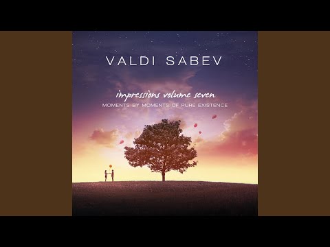 Valdi Sabev - I am Feeling Good