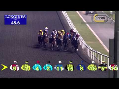 05.12.2013 Meydan (Dubai-UAE) 3.Race Expo 2020 65 / 80 - Handicap 1.600 m
