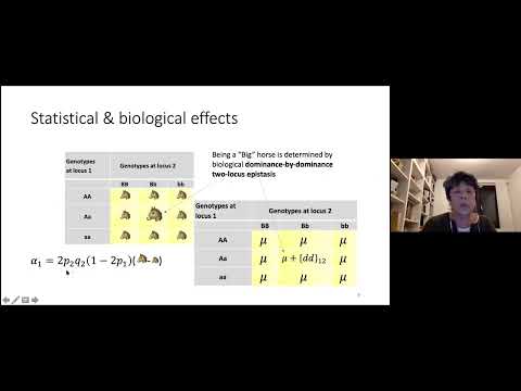43° Congreso AAPA -  Sección  Genética y Mejoramiento