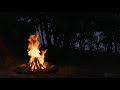 Ariel Pink - Let's Build a Campfire There (Official Lyrics)
