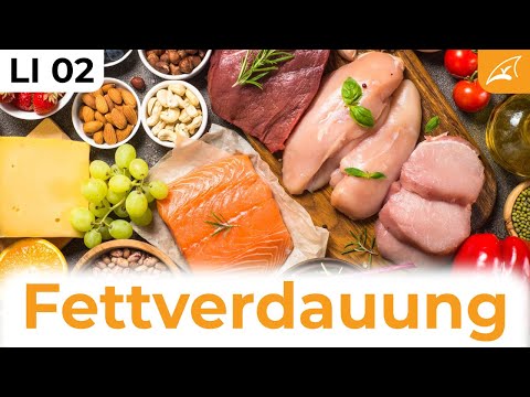 Wie funktioniert die Fettverdauung? // Wie Fette aus der Nahrung ins Blut gelangen ...