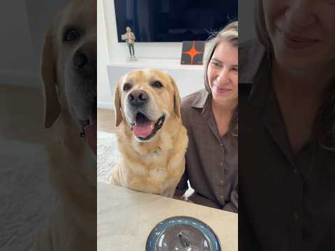 Кто быстрее?😁