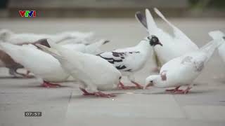 TRỰC TIẾP  LỄ KHAI GIẢNG HỌC VIỆN HÀNH CHÍNH VÀ QUẢN TRỊ CÔNG NĂM HỌC 2025 2026