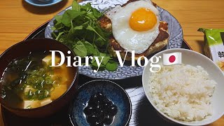 【🇯🇵Diary Vlog】Japanese foods Cooking|Dinner | Miso soup,rice, meatballs.|