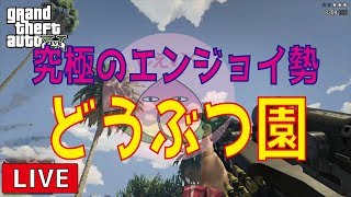 【GTA5 LIVE実況】動物になって駆け回るだワン！！が終わったので強盗w