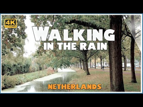Walking in the Rain | Rainy day in village - Netherlands | ASMR Rain / 4k - Huizen 🇳🇱