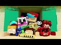 Birdie S Crazy Thx Roar A Cocospartan Crossover