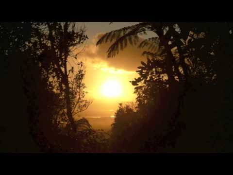 Peer Kusiv - Schweden