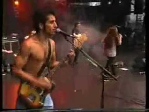 ALANIS MORISSETTE - IRONIC (Live  Pinkpop : Hollande 1996)