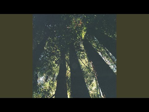 Video thumbnail for All the Time You Need