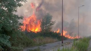 In Italy Forest Fires are Raging