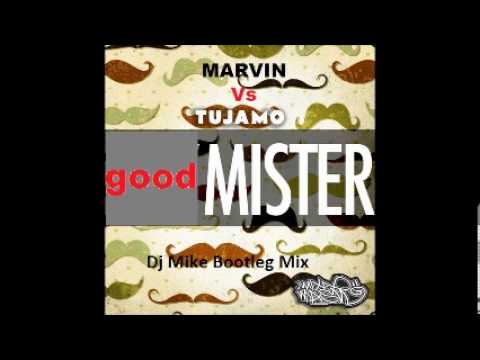 Marvin, Karly & Kenny Ray vs Tujamo - Good Mister! (Dj Mike Bootleg Mix)