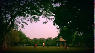 Coloured Flowers That Flutter Like Butterflies!