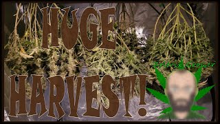 HUGE HARVEST! | EPIC MEDICAL GARDEN | #ZOLTRIXGROWER #ORGANIC #GROWYOUROWN