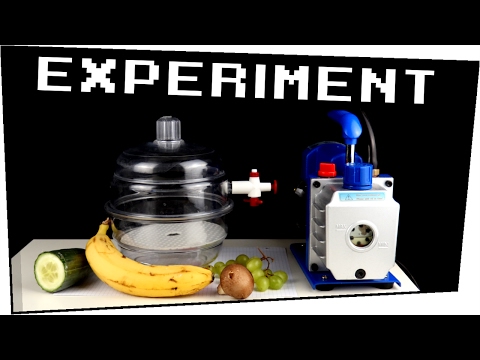 EXPERIMENT / 5 LEBENSMITTEL im VAKUUM -  Experimente zum nachmachen #80