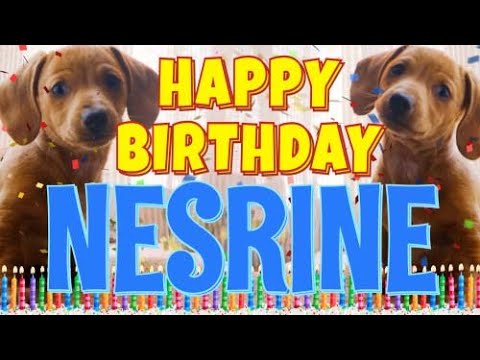 Happy Birthday Nesrine! ( Funny Talking Dogs ) What Is Free On My Birthday