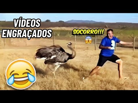 DESAFIO⚠️ TENTE NÃO RIR 🤣 | MELHORES memes e VÍDEOS ENGRAÇADOS 2026 🔥 #memes #comedia #450 