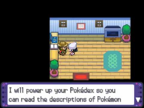 Let's Play Pokemon Perfect Platin - [90] Langer Weg zur Wüste