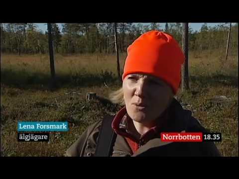 Nyheter Norrbotten - 5 september 2016