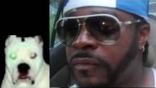 "DATZ ALL NIGGA" HARDHEAD