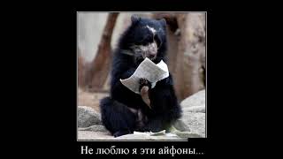 приколы, демотиваторы смешные пошлые, смешные демотиваторы девушек, смешные демотиваторы про девушек