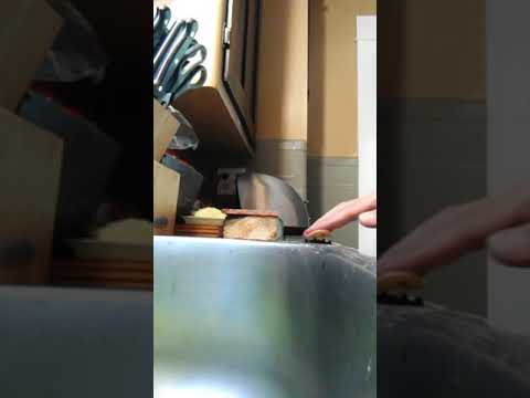 Swashbuckle Season 2 episode 1