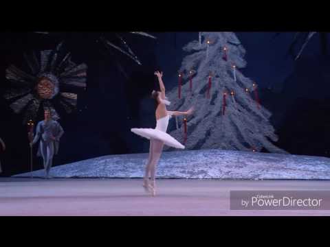 Pyotr Ilyich Tchaikovsky / Nina Kaptsova - Dance Of The Part Of Spinning Sugar Plum Fairy / 2010