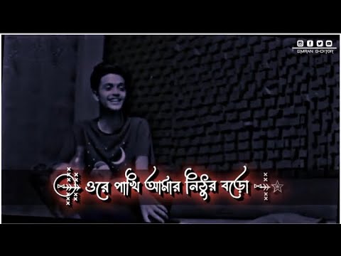 পাখি আমার নিঠুর বড় মনো বুঝে না / Bangla status / vairal tik tok song/ fahim /tuhin/