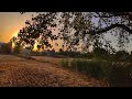 Swaah Banke By Diljit Dosanjh Pind Gaow Status Video Pind