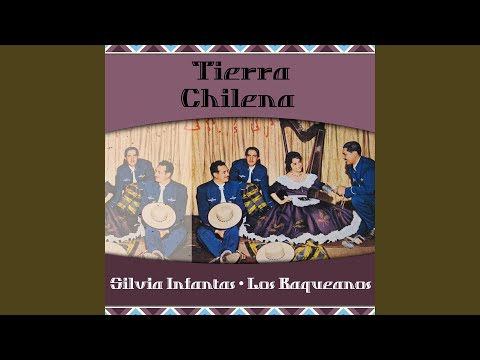 Vamos corazón (Tonada)