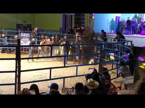 Gran espectáculo en el rodeo de San Antonio Nduayaco