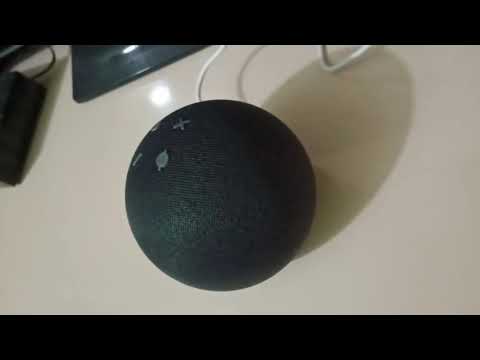 Echo dot 4th generation sound test, quality