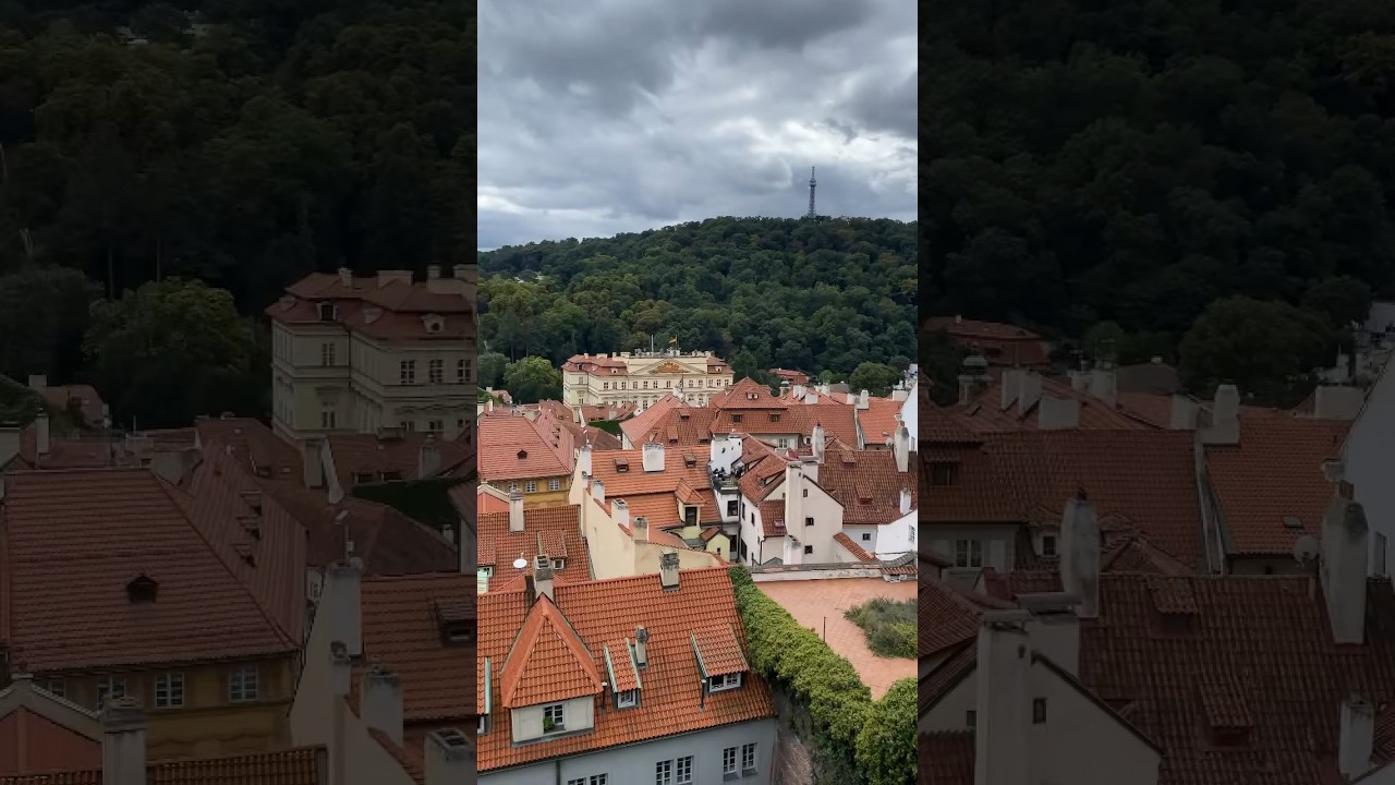 YouTube Short thumbnail