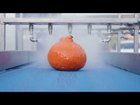 Pumpkin washing lines