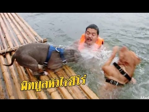 ไม่ว่าจะเป็นเบียร์สาเหตุความอ่อนแอ เงินทุนเพื่อเพิ่มความแข็งแรง