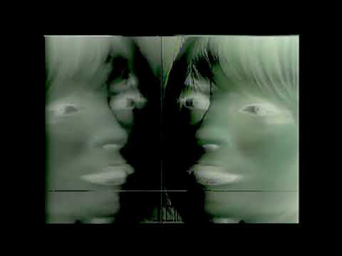 The palisades of Vogt